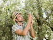 farmer is harvesting olives