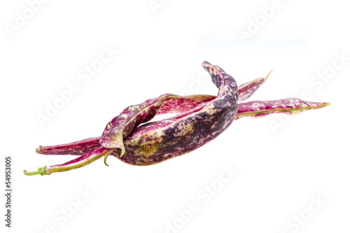 Photo: Red bean pod Red bean pod
