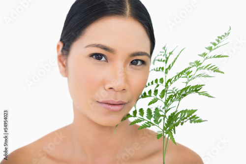 Photo: Peaceful sensual dark haired model with fern caressing her face Peaceful sensual dark haired model with fern caressing her face