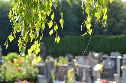 Photo: Cemetery scene Cemetery scene