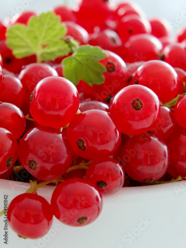 Photo: Johannisbeeren Johannisbeeren