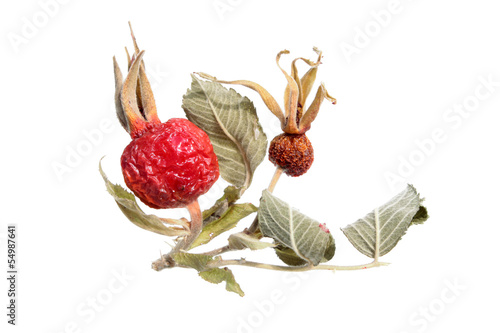 Photo: Dried rose hips isolated on white Dried rose hips isolated on white