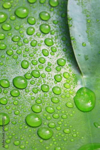 Photo: nature ! nature !