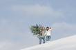 Photo: Österreich, Land Salzburg, Flachau, Junger Mann und Frau mit Weihnachtsbaum im Schnee Österreich, Land Salzburg, Flachau, Junger Mann und Frau mit Weihnachtsbaum im Schnee