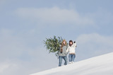 Photo: Österreich, Land Salzburg, Flachau, Junger Mann und Frau mit Weihnachtsbaum im Schnee Österreich, Land Salzburg, Flachau, Junger Mann und Frau mit Weihnachtsbaum im Schnee