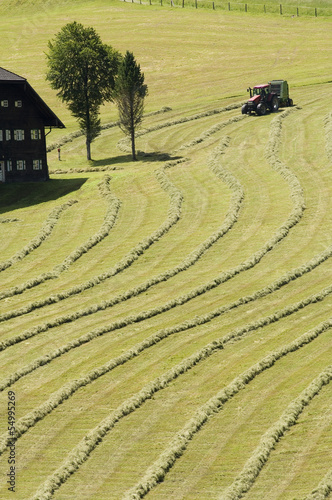 Photo: Österreich, Salzburger Land, Heuernte Österreich, Salzburger Land, Heuernte