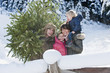 Foto: Österreich, Land Salzburg, Flachau, Ansicht der Familie mit Weihnachtsbaum im Schnee Österreich, Land Salzburg, Flachau, Ansicht der Familie mit Weihnachtsbaum im Schnee