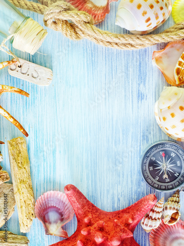 Photo: sea shells and compass sea shells and compass