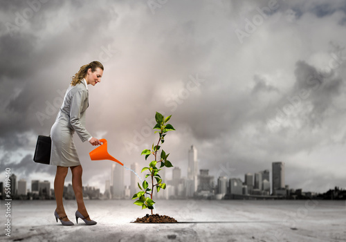 Photo: Business woman watering sprout Business woman watering sprout