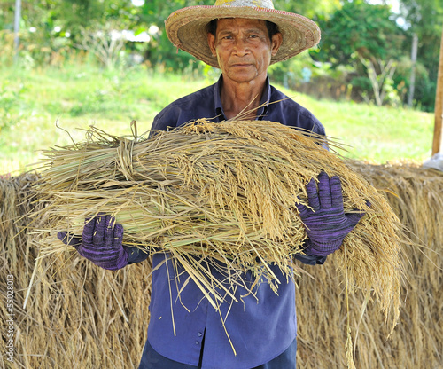 Photo: farmer in field, it's harvest time farmer in field, it's harvest time