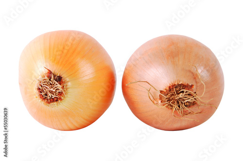 Photo: Onion Onion