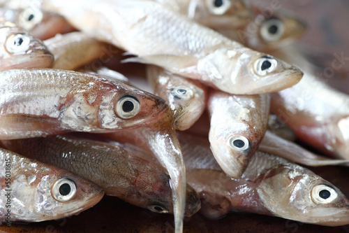 Photo: pile of uncooked smelt fish close up pile of uncooked smelt fish close up