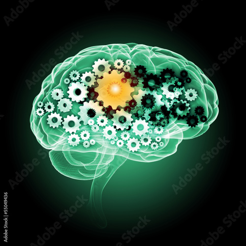 Illustration: Human brain Human brain