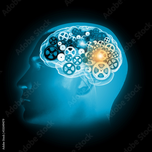 Illustration: Human brain Human brain