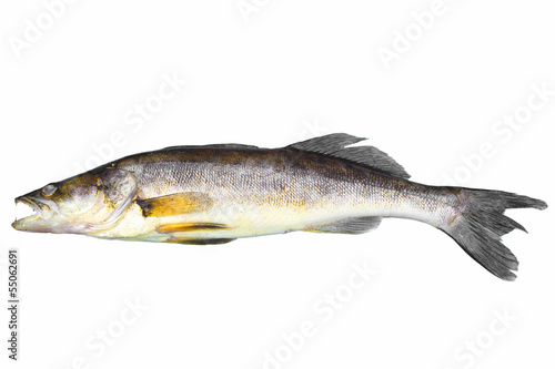 Photo: Zander Zander