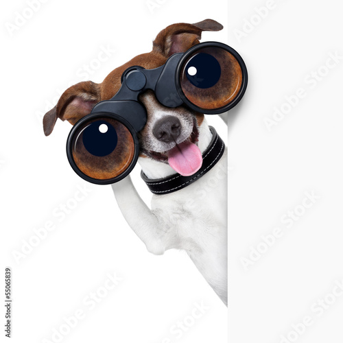 Photo: binoculars dog binoculars dog