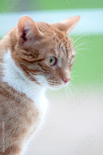 Photo: portrait portrait