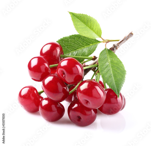 Photo: Sweet cherry with leaves Sweet cherry with leaves