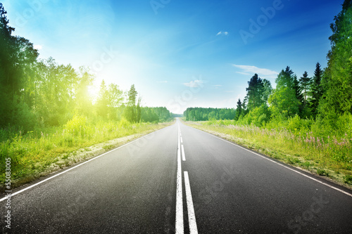 Photo: road in deep forest road in deep forest