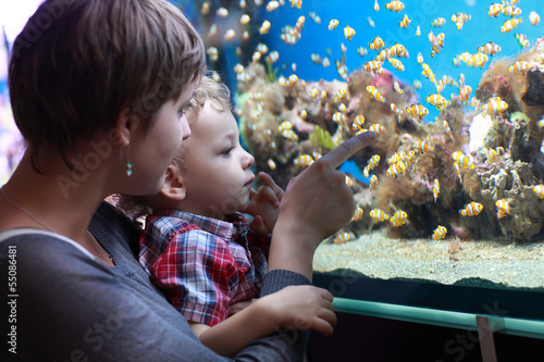 Photo: Family and fishes Family and fishes