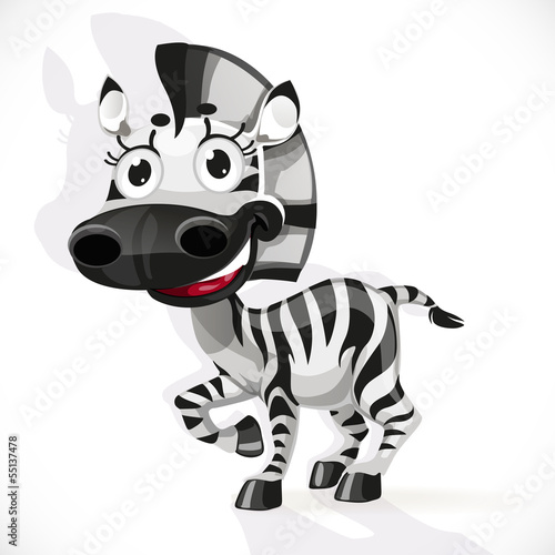Vector: Cute baby zebra Cute baby zebra