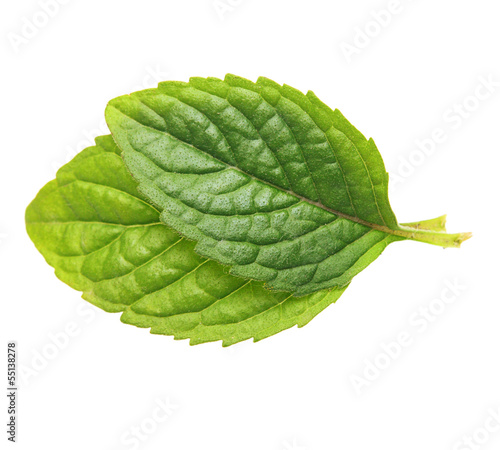 Photo: Green mint leaves isolated on white background. Green mint leaves isolated on white background.