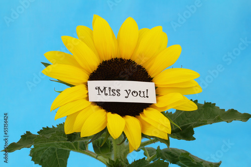 Photo: Miss you card on sunflower Miss you card on sunflower