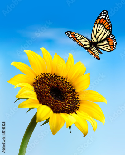 Vector: Nature background with sunflower and butterfly. Vector illustrat Nature background with sunflower and butterfly. Vector illustrat