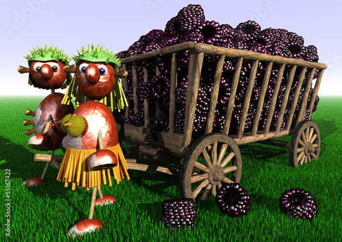Illustration: Brombeeren pflücken Brombeeren pflücken