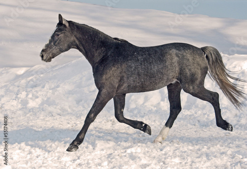 Photo: Winter vacation Winter vacation
