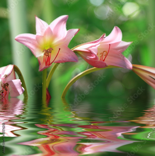 Photo: Exotique... Exotique...