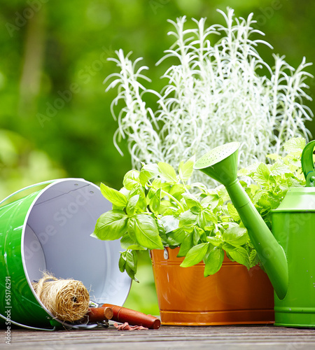 Photo: Outdoor gardening tools Outdoor gardening tools