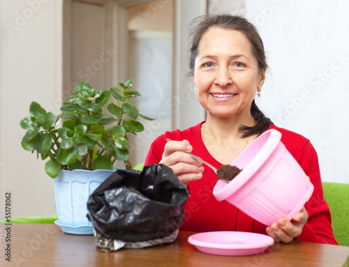 Photo: woman transplants Kalanchoe flower woman transplants Kalanchoe flower