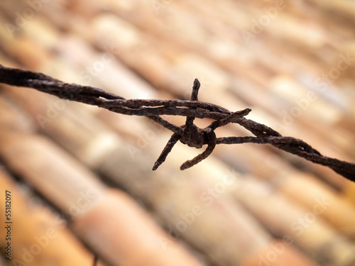Photo: Barbwire Barbwire