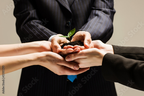 Photo: Sprout in hands Sprout in hands