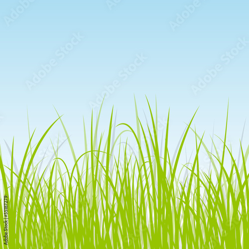 Vector: Grass, reed and wild plants detailed silhouettes illustration ba Grass, reed and wild plants detailed silhouettes illustration ba