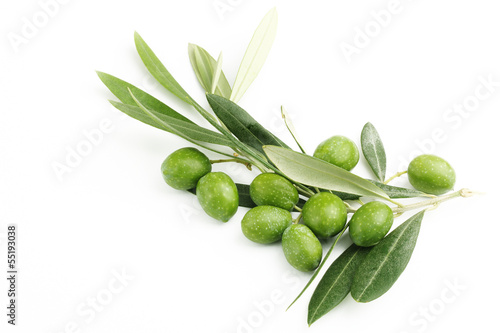 Photo: Ramo di ulivo con foglie e olive#3 Ramo di ulivo con foglie e olive#3