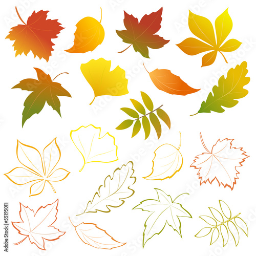 Vector: Falling leaves set Falling leaves set