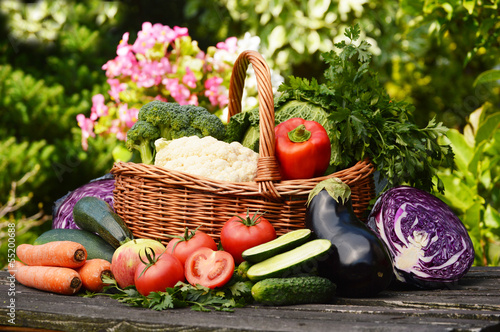 Photo: Fresh organic vegetables in the garden Fresh organic vegetables in the garden