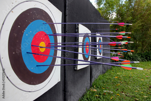 Photo: Target archery and Many arrow. Target archery and Many arrow.