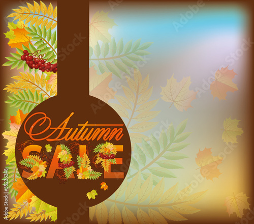 Vector: Autumn sale shop card, vector illustration Autumn sale shop card, vector illustration