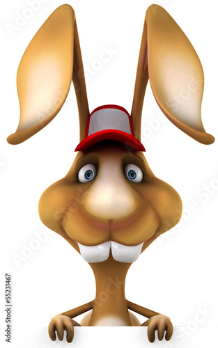 Illustration: Fun rabbit Fun rabbit