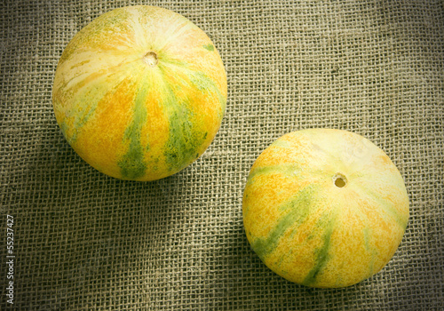 Photo: Melon Melon