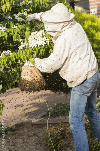 Photo: Beekeeper at work Beekeeper at work