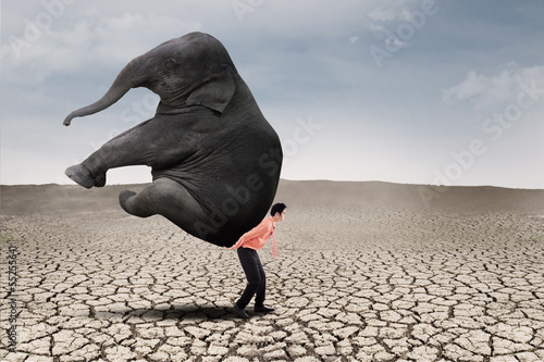 Photo: Business leader carry elephant on dry ground Business leader carry elephant on dry ground