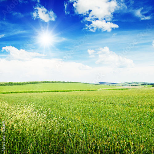 Photo: Beautiful sunset on spring field Beautiful sunset on spring field