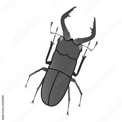 Vector: クワガタ クワガタ