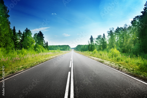 Photo: road in deep forest road in deep forest