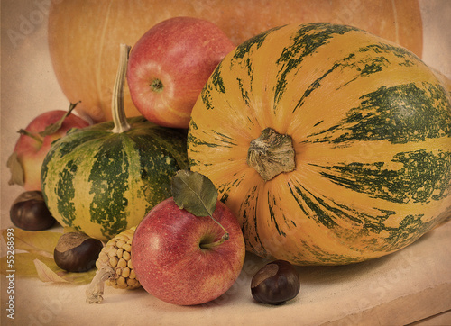 Photo: apples, pumpkins, corn,chestnuts apples, pumpkins, corn,chestnuts