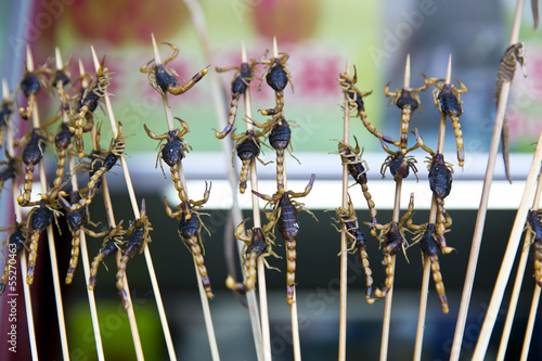 Photo: Beijing - Scorpions Beijing - Scorpions